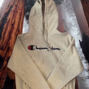 Champion heavy weight hoodie